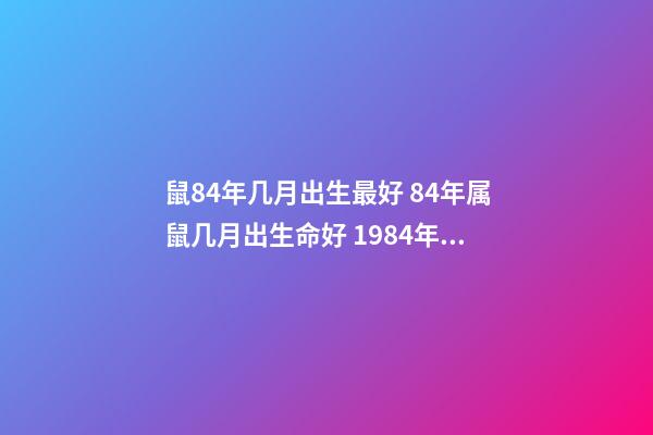 鼠84年几月出生最好 84年属鼠几月出生命好 1984年鼠几月份出生好,属鼠的几月出生最好-第1张-观点-玄机派